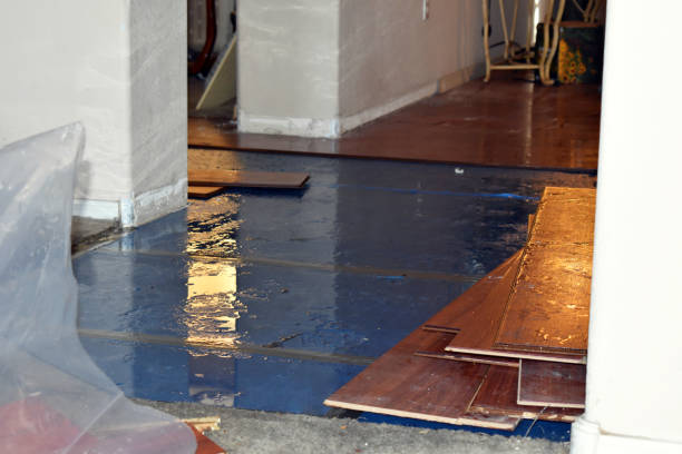 Professional Basement Flood Cleanup technician working in Centreville, MI